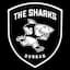 Sharks Xv