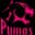 Pumas